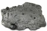 Plate of Four Red Embers Garnets in Graphite - Massachusetts #375782-1